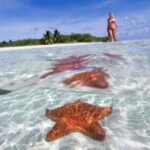 Cozumel Underwater Wonders: El Cielo Sandbar & Reef Snorkeling - Who Would Love This Tour?