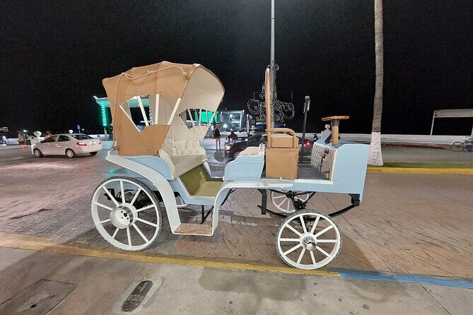 Cozumel's Heart Electric and Horse-drawn Carriage Tour - Why This Tour Works Well for Different Travelers