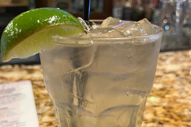 Craft Cocktails of St. Augustine - Who This Tour Is Best For