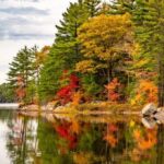 Cranberry Plunge and Hardy Lake Hike Adventure - An In-Depth Look at the Tour