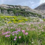 Crested Butte via Cottonwood Pass Private Colorado Adventure Tour - What to Expect in Terms of Practicalities