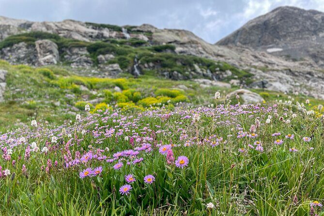 Crested Butte via Cottonwood Pass Private Colorado Adventure Tour - What to Expect in Terms of Practicalities