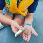 Crete: Boat Cruise with Fishing, Swimming, Lunch, and Drinks - An In-Depth Look at the Tour Experience