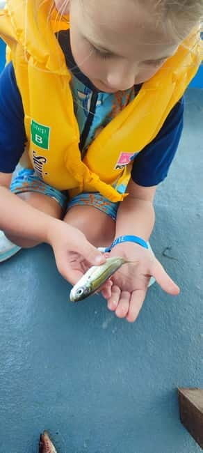 Crete: Boat Cruise with Fishing, Swimming, Lunch, and Drinks - An In-Depth Look at the Tour Experience