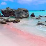 Crete: Day Trip to Elafonisi Beach with Hotel Transfers - What’s Included and What to Consider