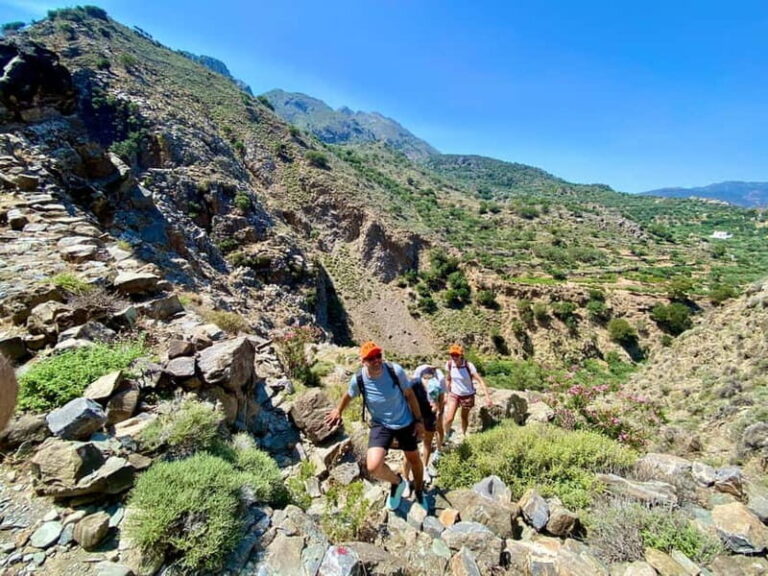 Crete: Guided Hiking Tour, Kavousi Canyon & Swimming - Why This Tour Offers Great Value