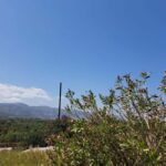 Crete: Malia, Potamos Beach, and Sissi Tuk Tuk Tour - Final Thoughts