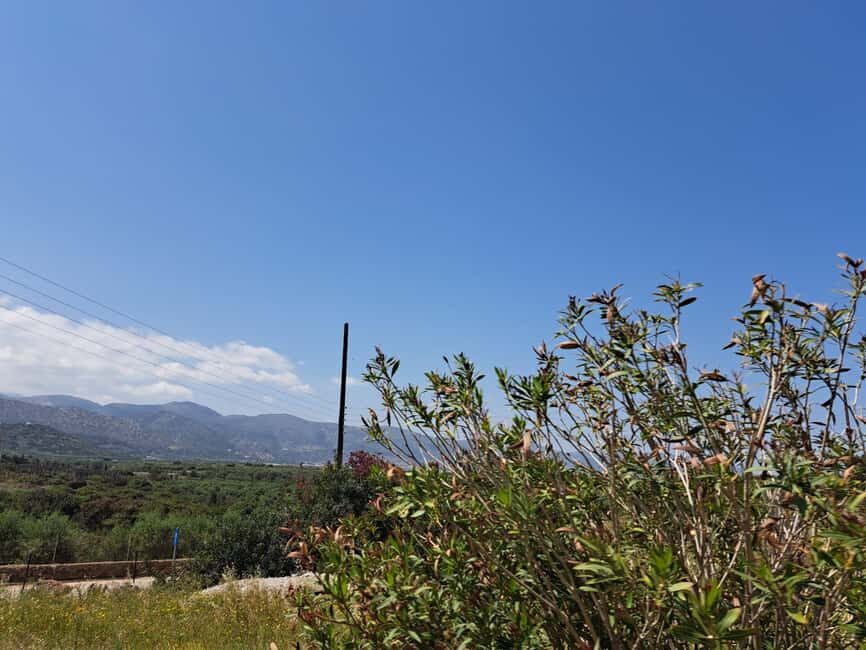 Crete: Malia, Potamos Beach, and Sissi Tuk Tuk Tour - Final Thoughts