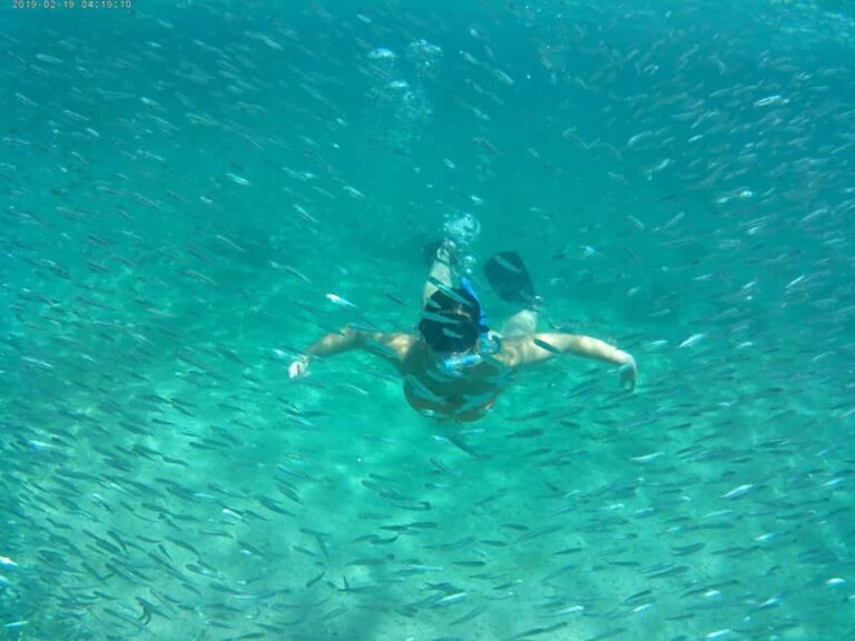 Crete: Snorkel Cretes Hidden Coves by Boat - The Realities from Travelers Perspectives