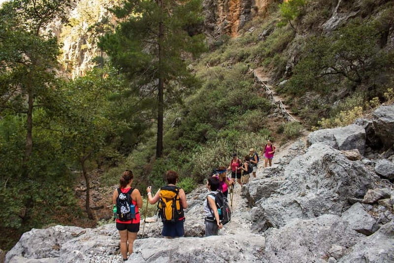 Cretes Secret Trail: Agia Irini Gorge & Sougia Escape - Deep Dive Into the Itinerary