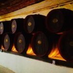 Cricova & Milestii Mici Wineries - The Sum Up: Is This Tour Worth It?