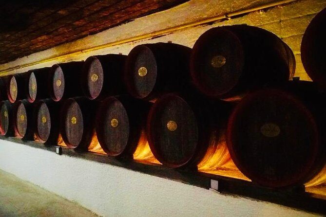 Cricova & Milestii Mici Wineries - The Sum Up: Is This Tour Worth It?