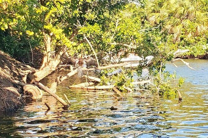 Croc´s & Turtle Aquarium - Authentic Experiences and Genuine Insights