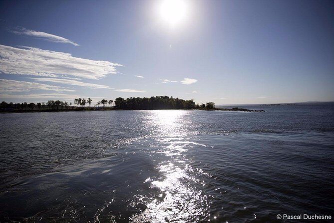 Cruise and Visit of Grosse-Ile - The Scenic Cruise: Views and Atmosphere