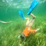 Crystal River: All Inclusive Premier Scalloping Tour - Exploring the Experience