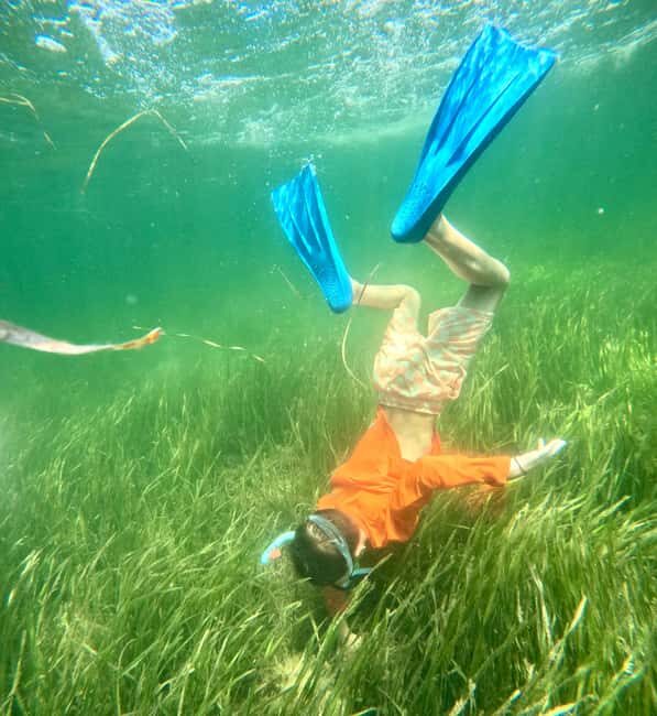 Crystal River: All Inclusive Premier Scalloping Tour - Exploring the Experience