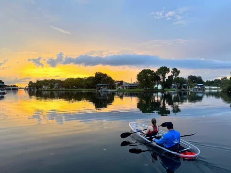 Crystal River: Clear Kayak Sunset & Night Glow Tour - The Sum Up