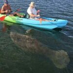 Crystal River Sunrise Manatee Clear Kayak Tour - Who Will Love This Tour?