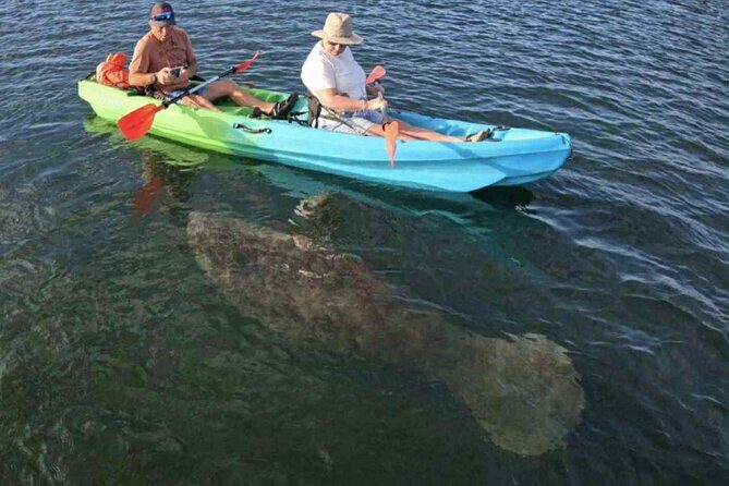 Crystal River Sunrise Manatee Clear Kayak Tour - Who Will Love This Tour?
