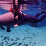 Crystal River: VIP Kayak and Swim with Manatees Tour - Who Will Love This Tour?