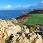 Cudillero, Aviles and Faro de Cabo Peñas tour from Oviedo - Itinerary Breakdown: What You Can Expect