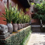 Cuernavaca: Museo Robert Brady Entrance Tickets - Exploring the Museo Robert Brady: A Deep Dive