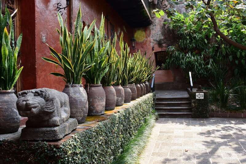 Cuernavaca: Museo Robert Brady Entrance Tickets - Exploring the Museo Robert Brady: A Deep Dive