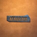 Cultural Savor of 5 Roots - The Sum Up