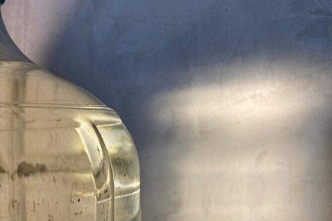 Cultural Tasting of 3 Roots in Puerto Vallarta - Dive into the Itinerary