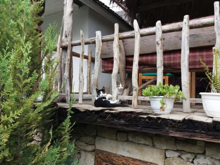 Curchi Monastery, Old Orhei and Cricova Winery (Optional) - Potential Drawbacks to Keep in Mind