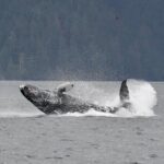 Customizable Private Wildlife Tour - Why This Tour Works Well