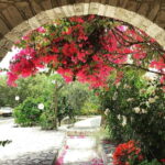 Cypriot Traditions and Donkey Adventures - Final Thoughts: Is It Worth It?