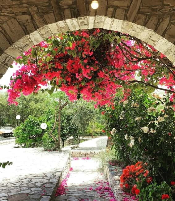 Cypriot Traditions and Donkey Adventures - Final Thoughts: Is It Worth It?