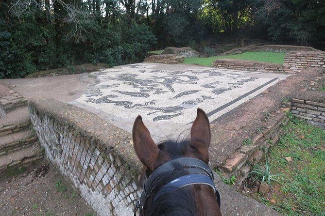 Daily Animals Lovers : Horseback ride with meals & wine included - Practicalities and Value