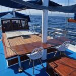 Daily boat trips - A Closer Look at the Experience