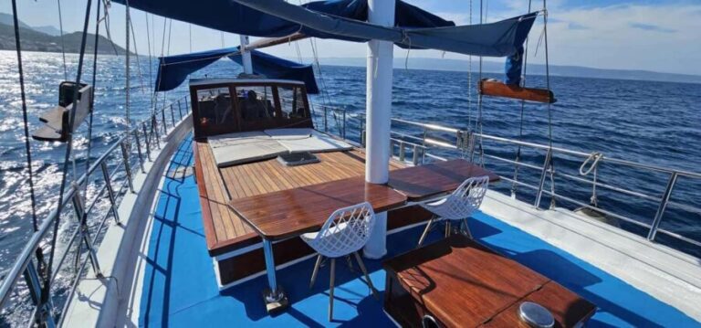 Daily boat trips - A Closer Look at the Experience