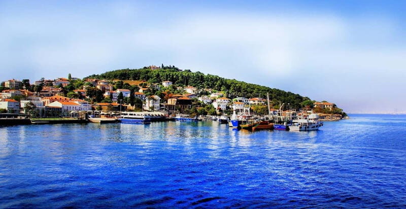 Daily Princes Island Tour from Istanbul - A Deep Dive into the Princes Islands Tour