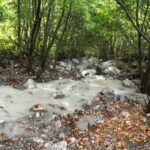 Dajti Cable Car and Shengjergj Waterfall Tour with Lunch - The Itinerary in Detail