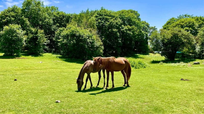 Dajti Mountain & Shengjergj Waterfall Day Trip on Land Rover - The Experience in Context