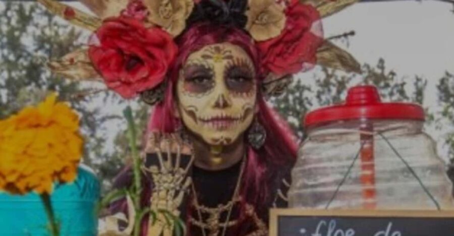 Day of the Dead in Mexico City: Mexican dinner and party in Xochimilco - Detailed Breakdown of the Itinerary