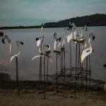 Day tour to: Apollonia, Narta Lagoon & Zvernec Monastery - Detailed Breakdown of the Itinerary