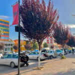 Day Tour to Fier  Discover Albanias Historical Heart - The Highlights That Make This Tour Stand Out