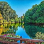 Day Tour to Korçë & Pogradec - Discover Eastern Albania - Who Is This Tour Best Suited For?