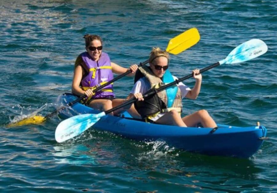 Day Trip From Boston: Kayak Tour through Gloucester Harbor - Detailed Breakdown of the Tour Experience