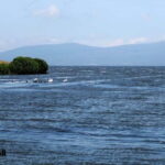 Day trip to Dashbash Canyon with Licensed Guide - Why This Tour Offers Great Value