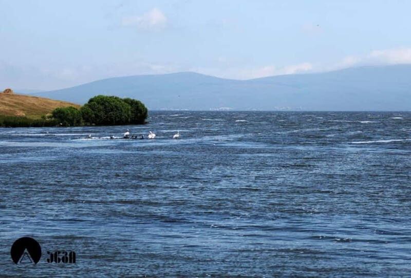 Day trip to Dashbash Canyon with Licensed Guide - Why This Tour Offers Great Value