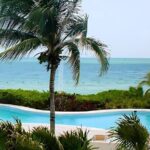 Day trip to El Corchito Ecological Reserve and Playa - Stop Two: Pig Beach in Progreso