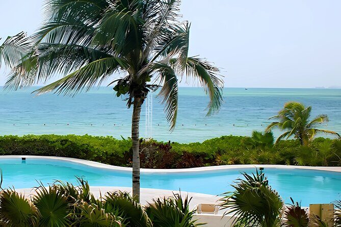 Day trip to El Corchito Ecological Reserve and Playa - Stop Two: Pig Beach in Progreso