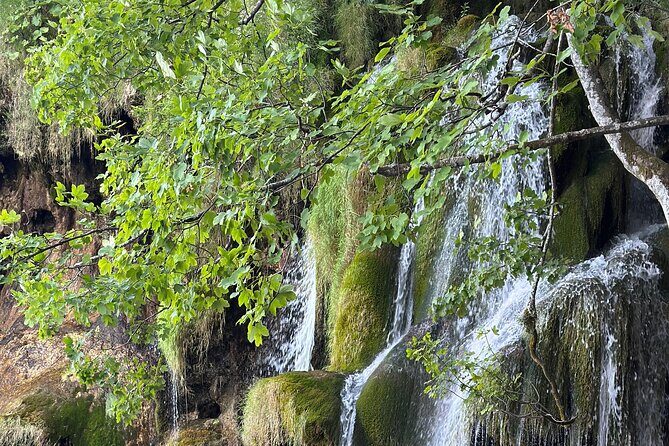 Day trip to the Plitvice Lakes incl. admission and lunch - The Return Journey