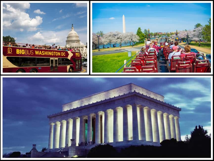 DC: Hop-on Hop-off, Arlington Walking Tour, and Night Tour - What’s Included & What’s Not